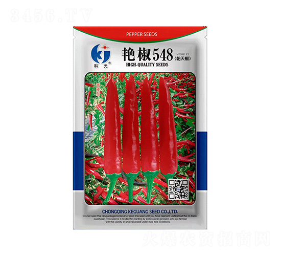 �޽�548-�ƹ�����