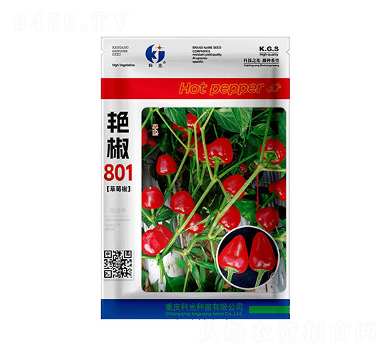 �޽�801-�ƹ�����