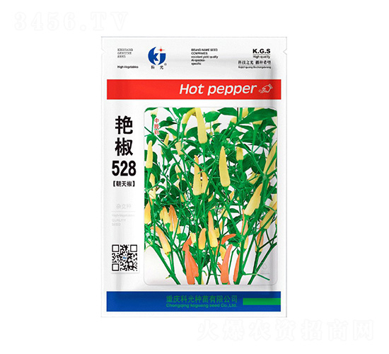 �޽�528-�ƹ�����