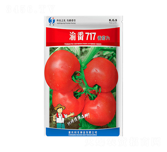 �巬717-�ƹ�����