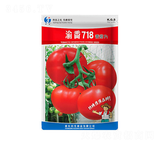 �巬718-�ƹ�����
