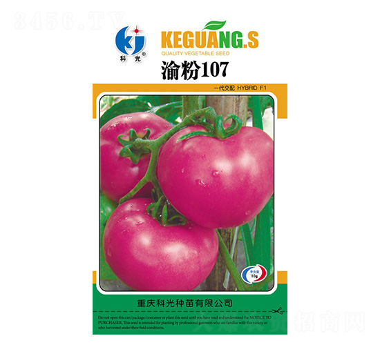 ���107-�ƹ�����