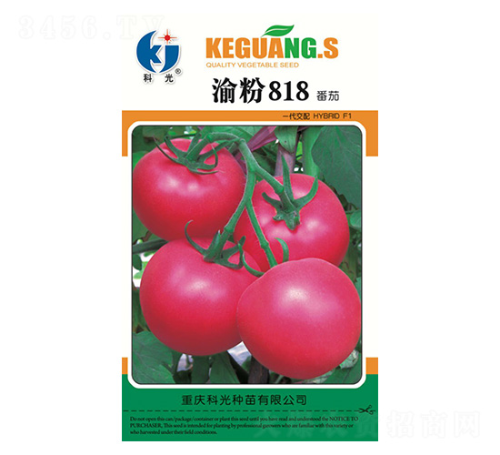 ���818-�ƹ�����