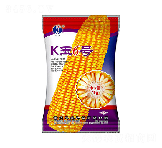 K��6��-�ƹ�����
