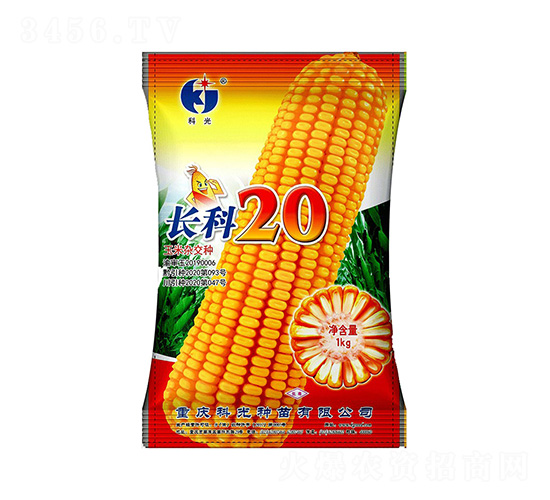����20-�ƹ�����