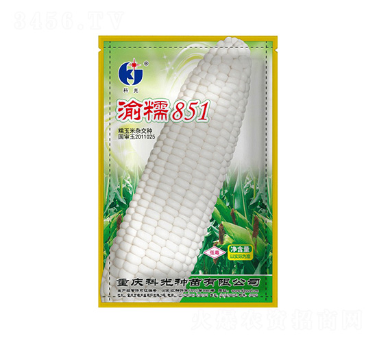 ��Ŵ851-�ƹ�����