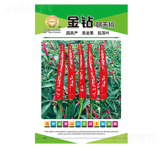 ��������-���곯�콷-̫����ҵ