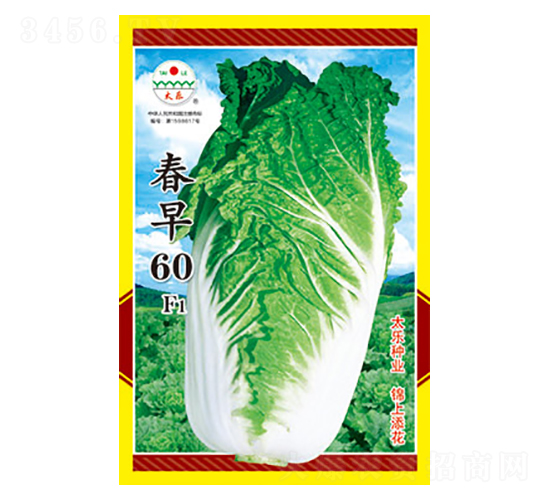 �ײ�����-����60F1-̫����ҵ