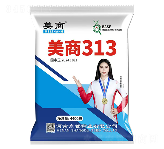 ����313��������-�̶���ҵ