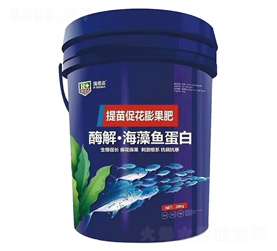 ø�⡤�����㵰��-�𱶴�