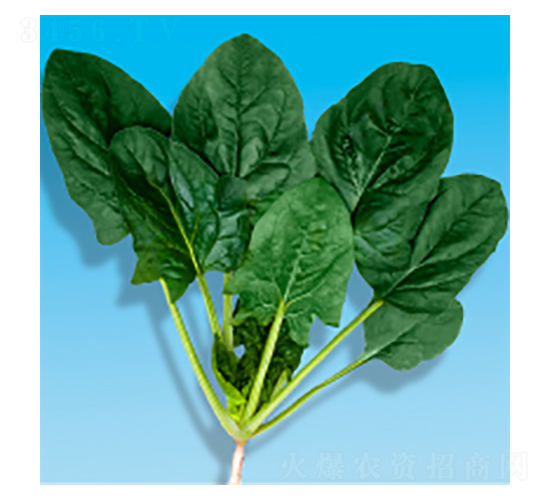 ��������-孲�203-�����ҵ