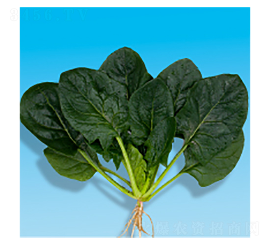��������-孲�4��-�����ҵ