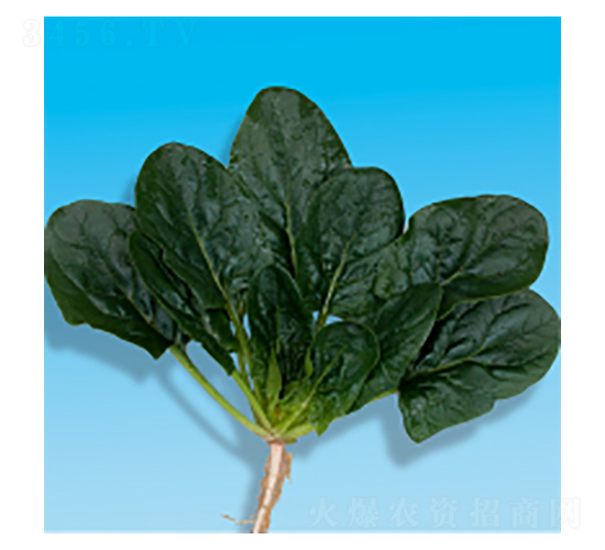 ��������-孲�5��-�����ҵ