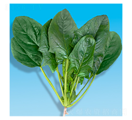 ��������-孲�207-�����ҵ