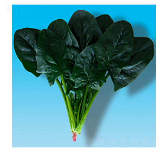 ��������-孲�012-�����ҵ