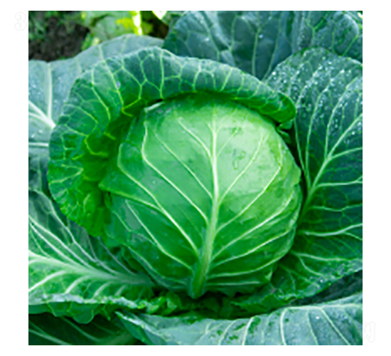 ��������-學�312-�����ҵ