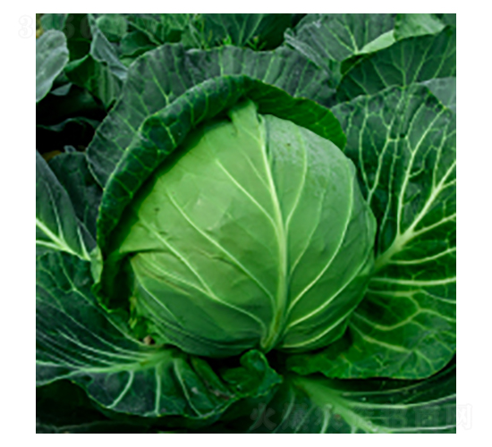 ��������-學�317-�����ҵ