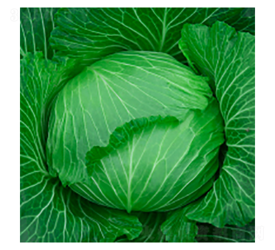 ��������-學�316-�����ҵ