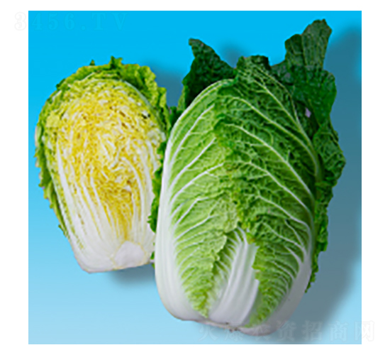 ��ײ�����-孻�321-�����ҵ