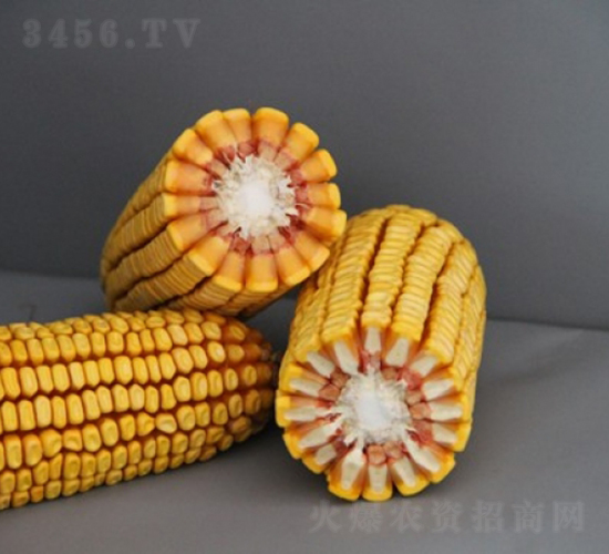 DF41-��������-�Ǻ�������ҵ