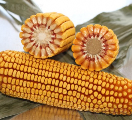 ����119-��������-�Ǻ�������ҵ