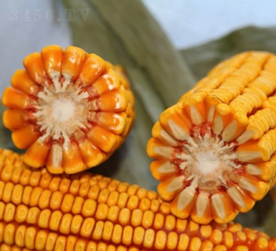 ����718-��������-�Ǻ�������ҵ