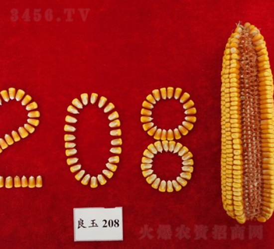 ����208-��������-�Ǻ�������ҵ