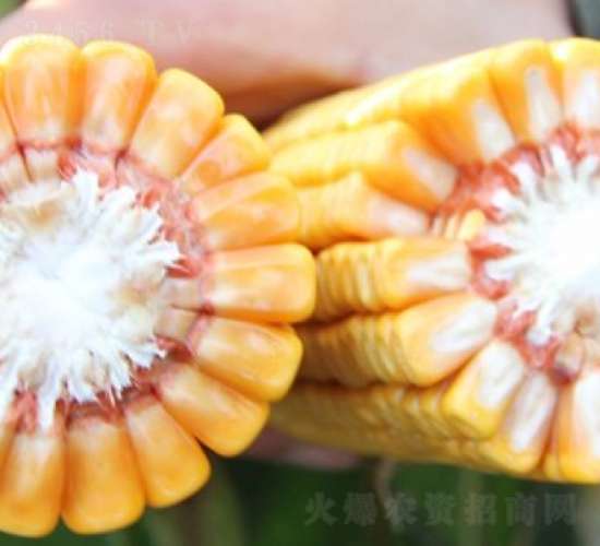 ����188-��������-�Ǻ�������ҵ