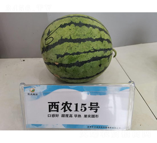 ��ũ15��-��������-�ط���ҵ