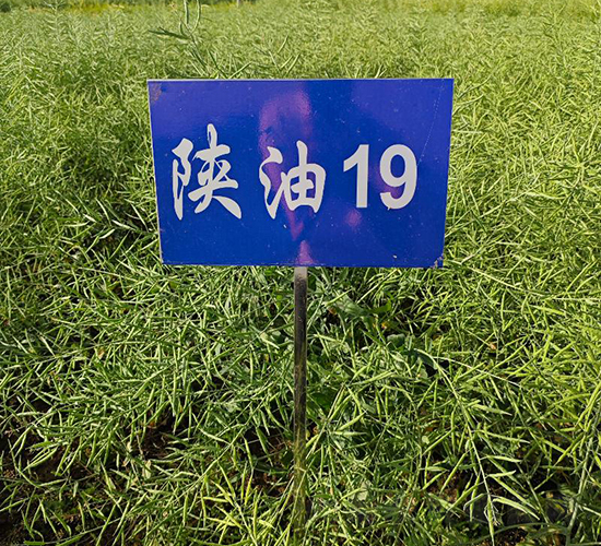 ����19-�Ͳ�����-�ط���ҵ