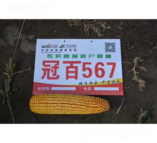 �ڰ�567-��������-�ط���ҵ