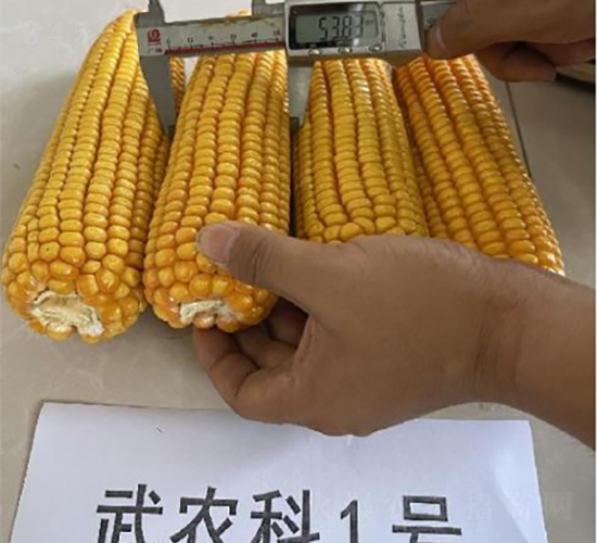 ��ũ��1��-��������-�ط���ҵ