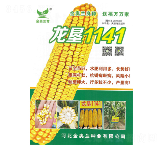 ����1141-��������-�ط���ҵ