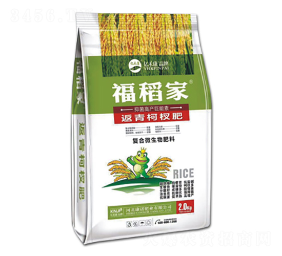 �����辷�-������-��ŵ��ҵ