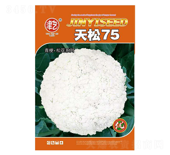 ��������-����75-����ũҵ