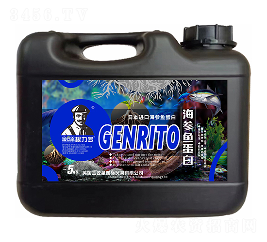 �ձ����ں����㵰��-������-����