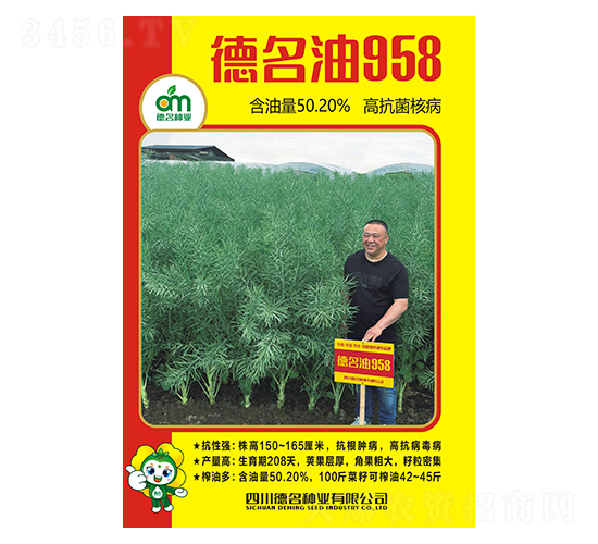 ������958-������ҵ