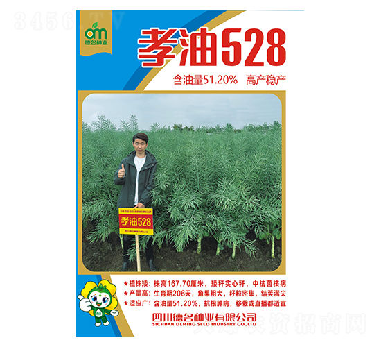 Т��528-������ҵ