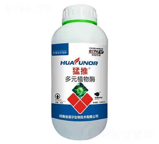 ����-ŵ������