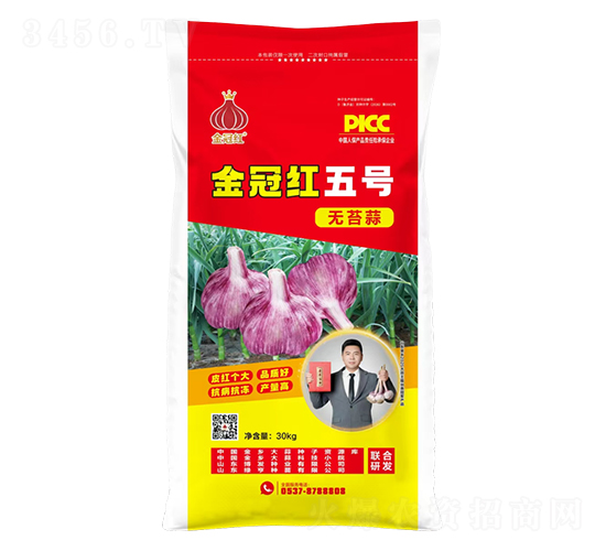 ��ں������̦��-³��