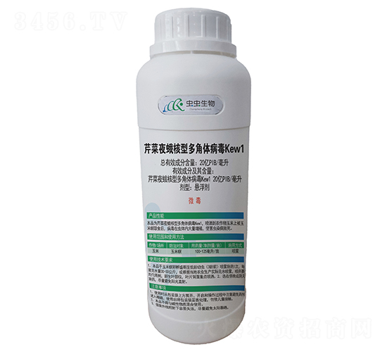 �۲�ҹ����Ͷ���岡��������-�������
