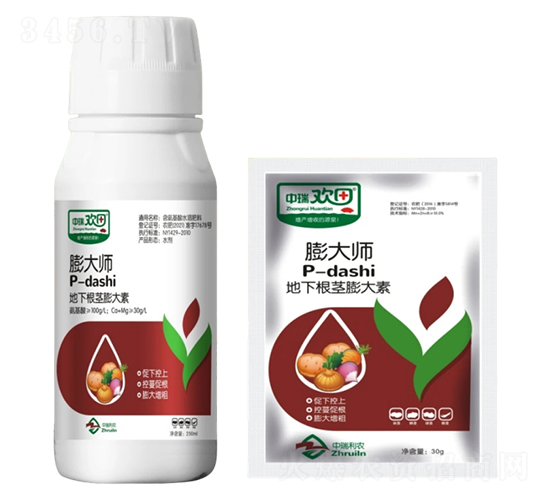 ���¿龥�����-���ʦ-������ũ