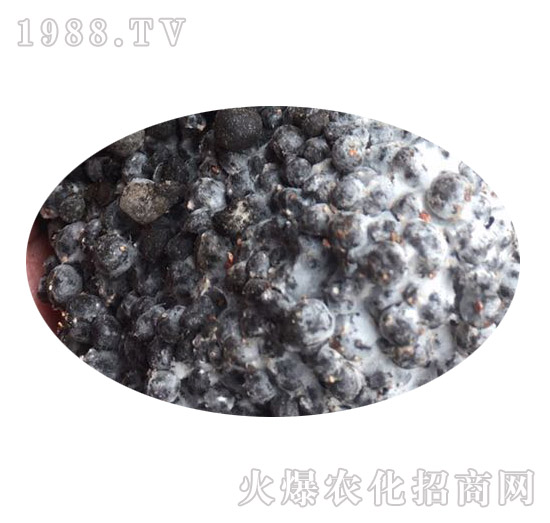 5�ھ�60%�л���-��ũ