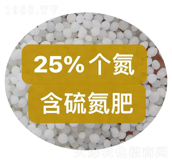 25%���򵪷ʿ���-��ũũ��