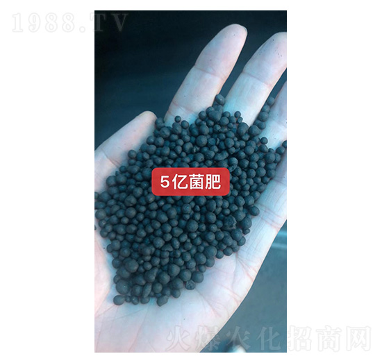 5�ھ���-��ũ
