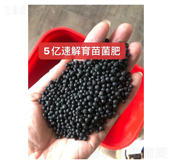 5���ٽ��������--��ũ