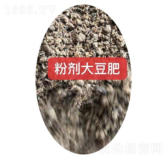 �ۼ��󶹷ʿ���-��ũ