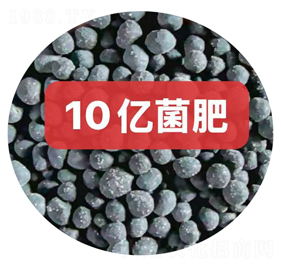 10�ھ��ʿ���-������