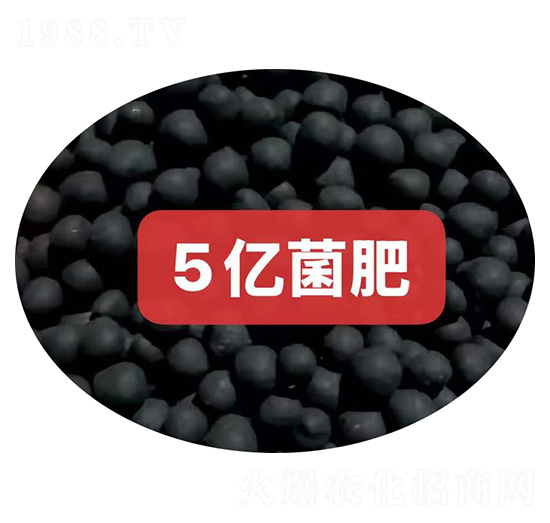5�ھ��ʿ���-������