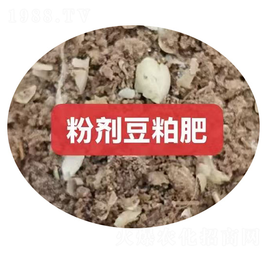 �ۼ����ɷ�-������